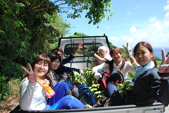 村おこしNPO法人ECOFFの写真