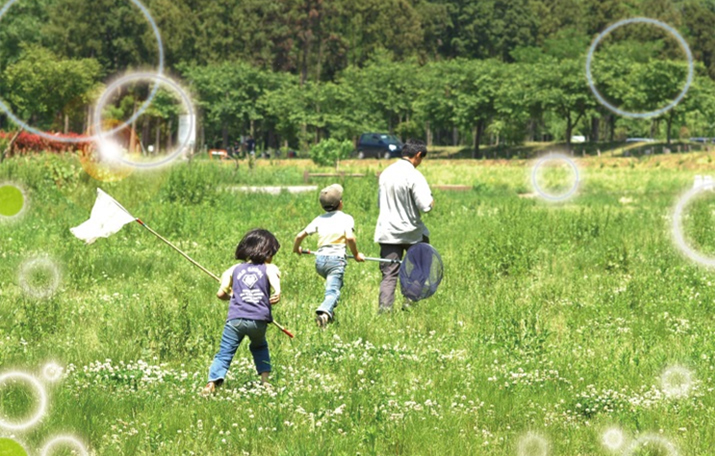 公益財団法人日本生態系協会の写真