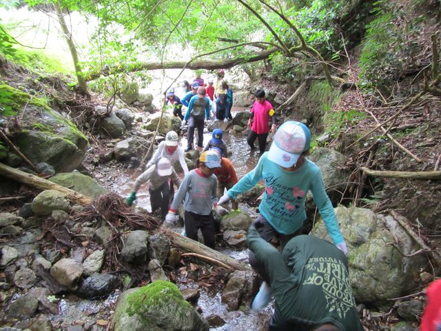 兵庫県立ささやまの森公園の写真