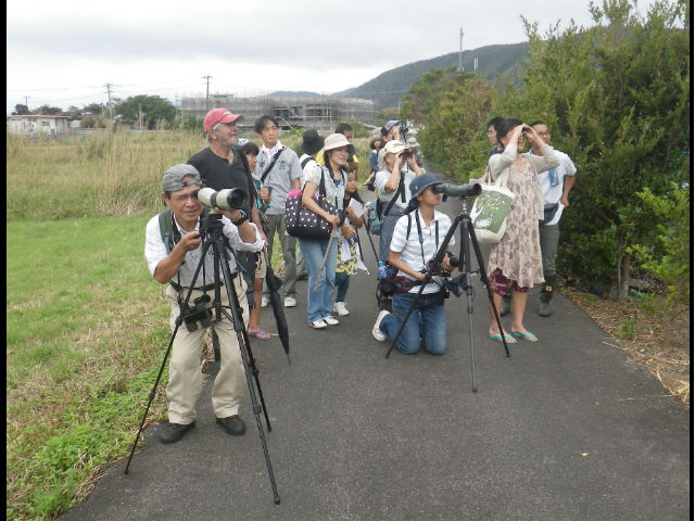 NPO法人　奄美野鳥の会の写真