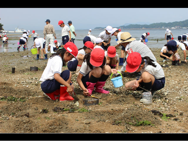 特定非営利活動法人　瀬戸内里海振興会の写真