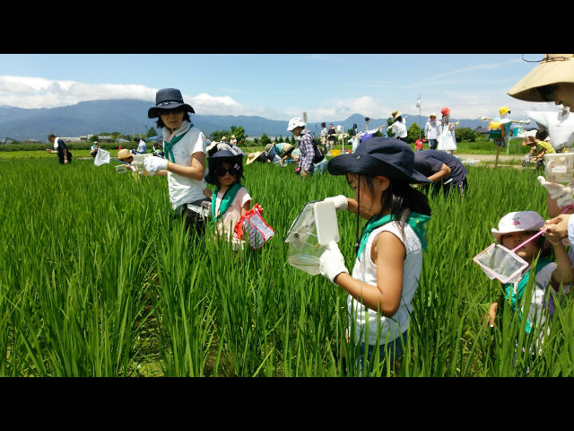 NPO法人　小田原食とみどり