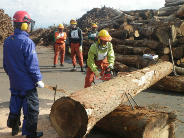 公益財団法人鳥取県林業担い手育成財団の写真